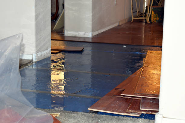 Professional Flood Cleanup technician working in Leavenworth, KS